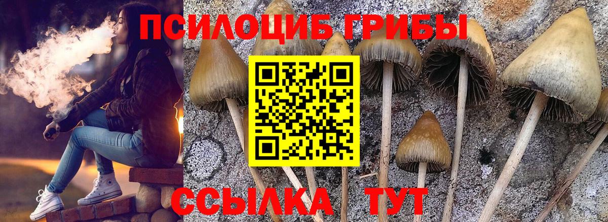 Псилоцибиновые грибы мицелий Ессентуки
