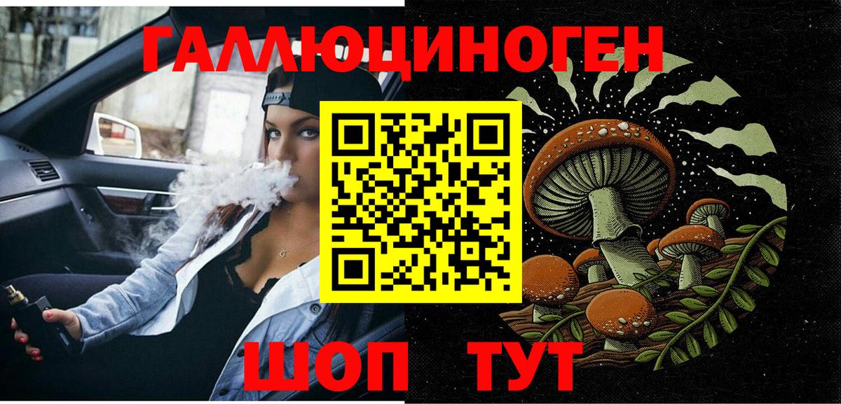 где продают   Галлюциногенные грибы MAGIC MUSHROOMS  Вход с VPN  Ессентуки 